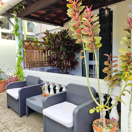 Penzion Tiny House Funchal (Madeira)