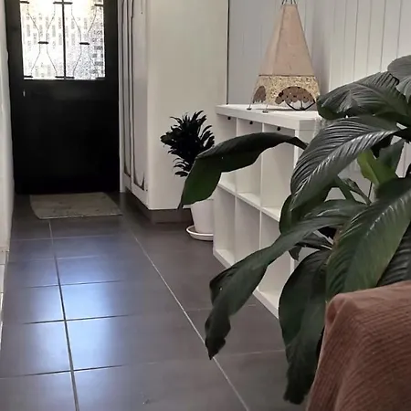 Penzion Tiny House